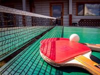 Визначилися переможці першості Гусятинщини із настільного тенісу