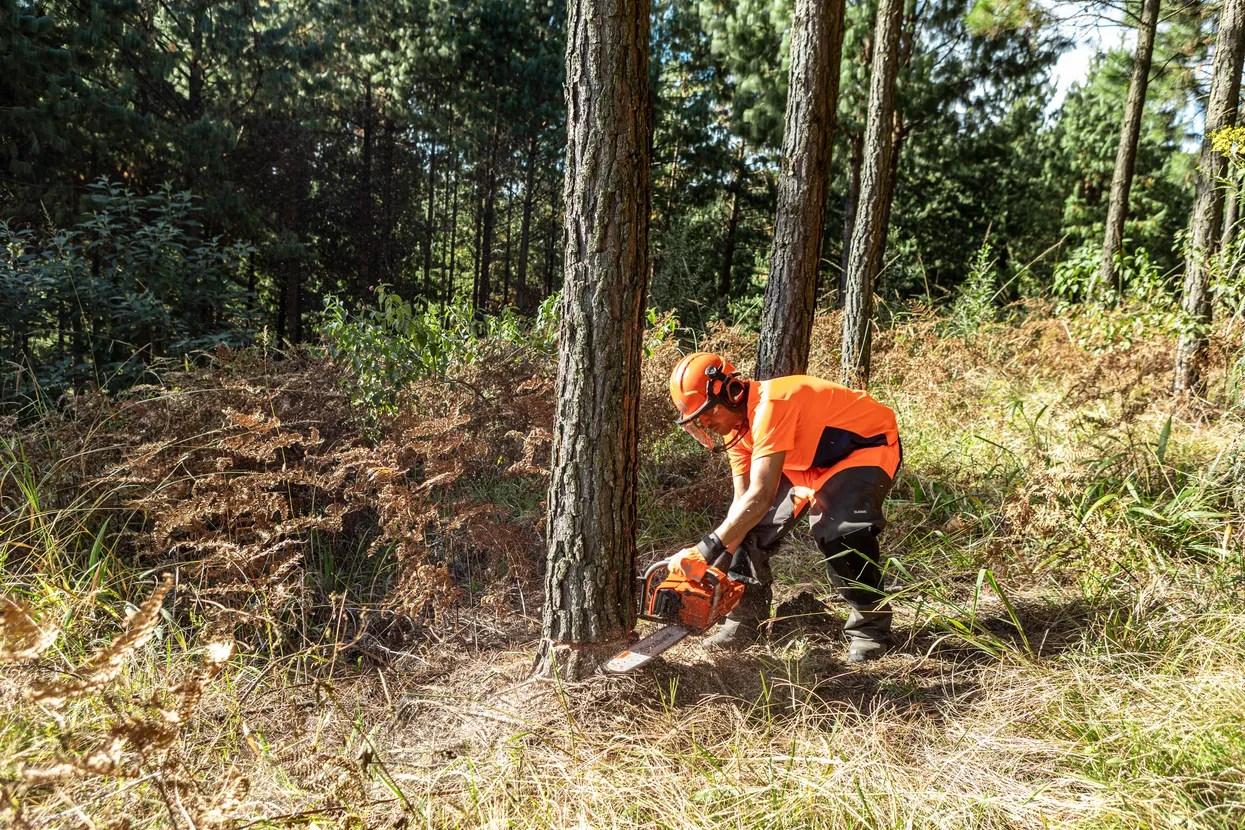 Motosierra Husqvarna 272 XP barra 28" paso 3/8"