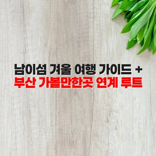 남이섬 겨울 여행 가이드 + 부산 가볼만한곳 연계 루트