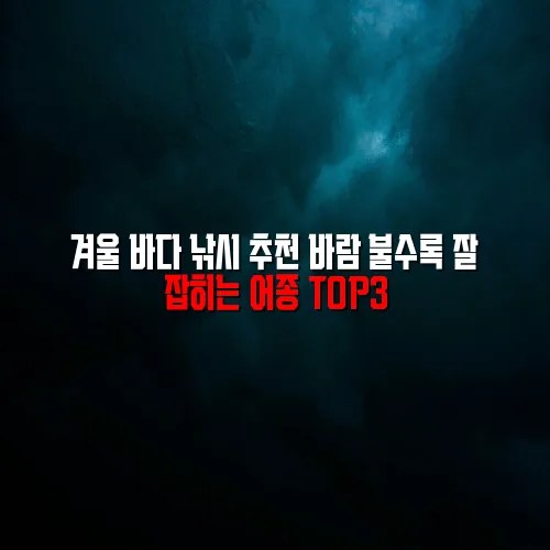 겨울 바다 낚시 추천 바람 불수록 잘 잡히는 어종 TOP3