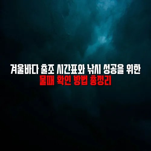 겨울바다 출조 시간표와 낚시 성공을 위한 물때 확인 방법 총정리