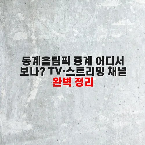 동계올림픽 중계 어디서 보나? TV·스트리밍 채널 완벽 정리