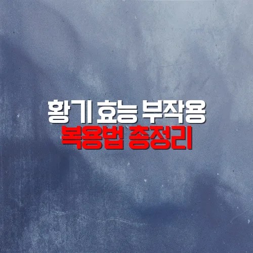 황기 효능 부작용 복용법 총정리
