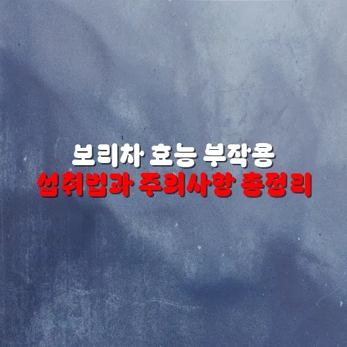 보리차 효능 부작용 섭취법과 주의사항 총정리
