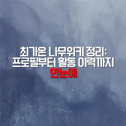 최가온 나무위키 정리: 프로필부터 활동 이력까지 한눈에