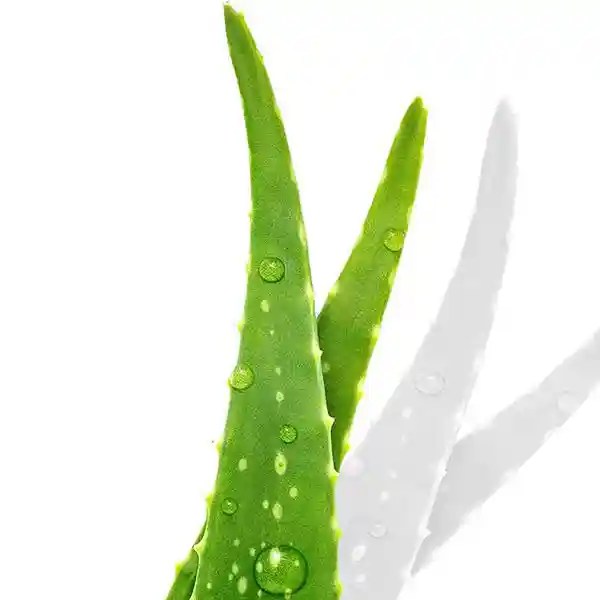 MEDIHEAL Dermaplus ALOE Mask