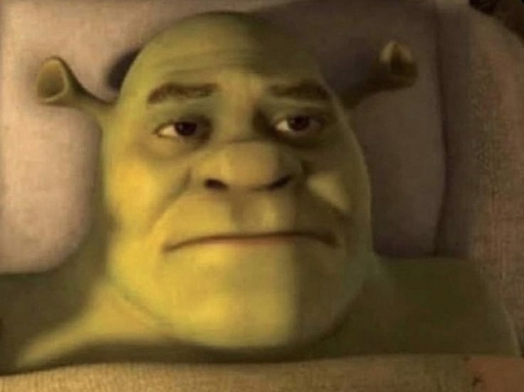 Shrek 3AM Thoughts