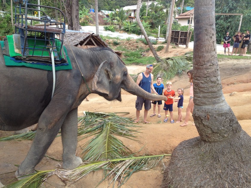 file-nov-27-10-08-08-am