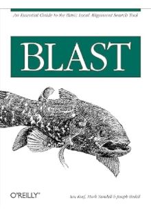 Github Korflab Ime A New Code Base For The Ime Project - Full HD Dark Textures for Desktop