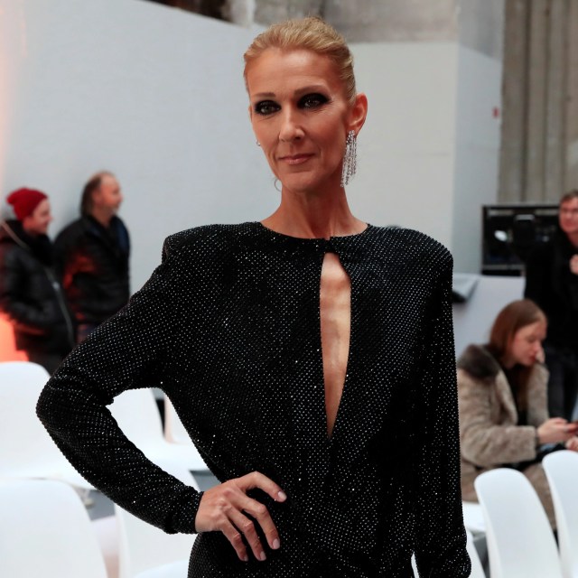 We can’t find any medicine that works – Celine Dion’s sister gives update on her heath 2