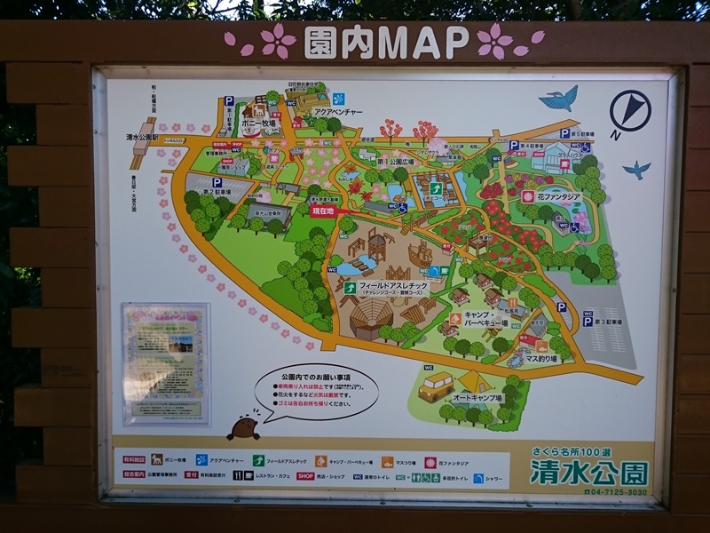 清水公園フィールドアスレチックのファミリーでの正しい行き方 遊び方 コシタツ Com