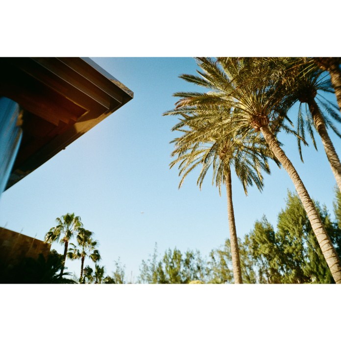 Corner of roof and palm tree (Pic: Courtesy Chroma Camera)