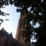 image (13)
