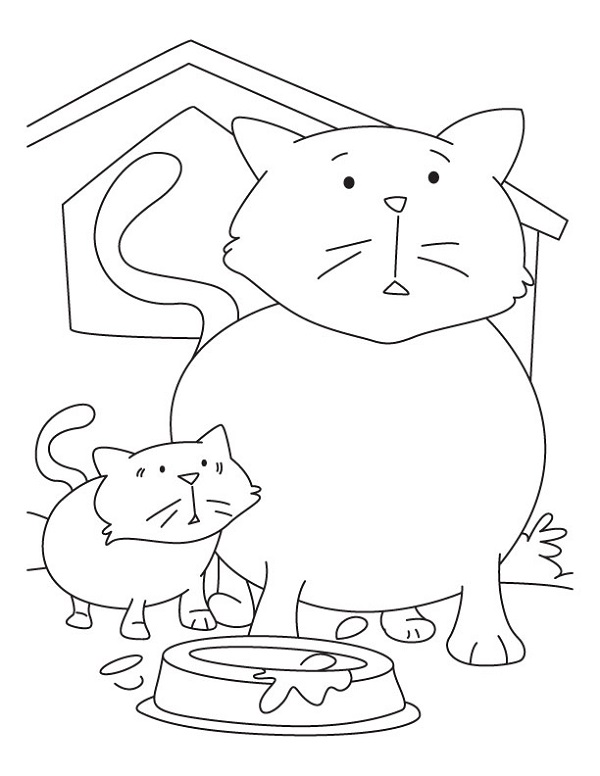 Раскраски Коты | Кот и кошка