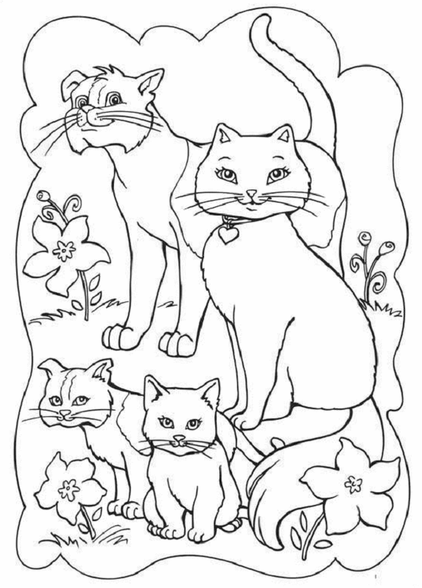 Раскраски Коты | Кот и кошка