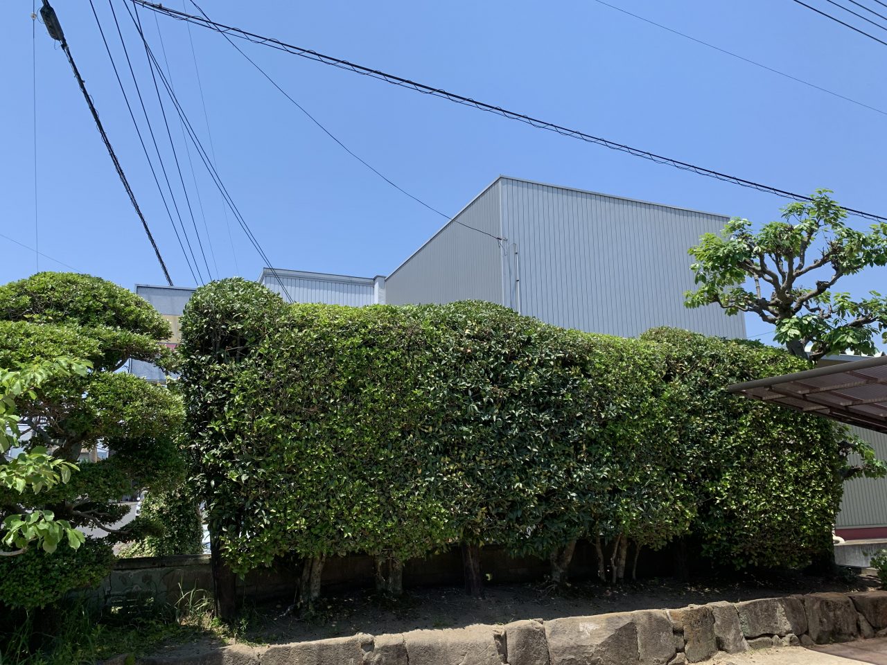 こういくや　お庭に風景を描く会社です