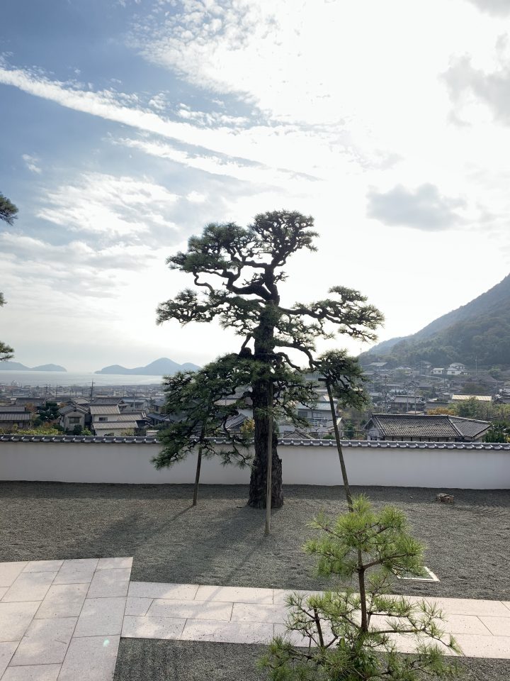 こういくや　お庭に風景を描く会社です