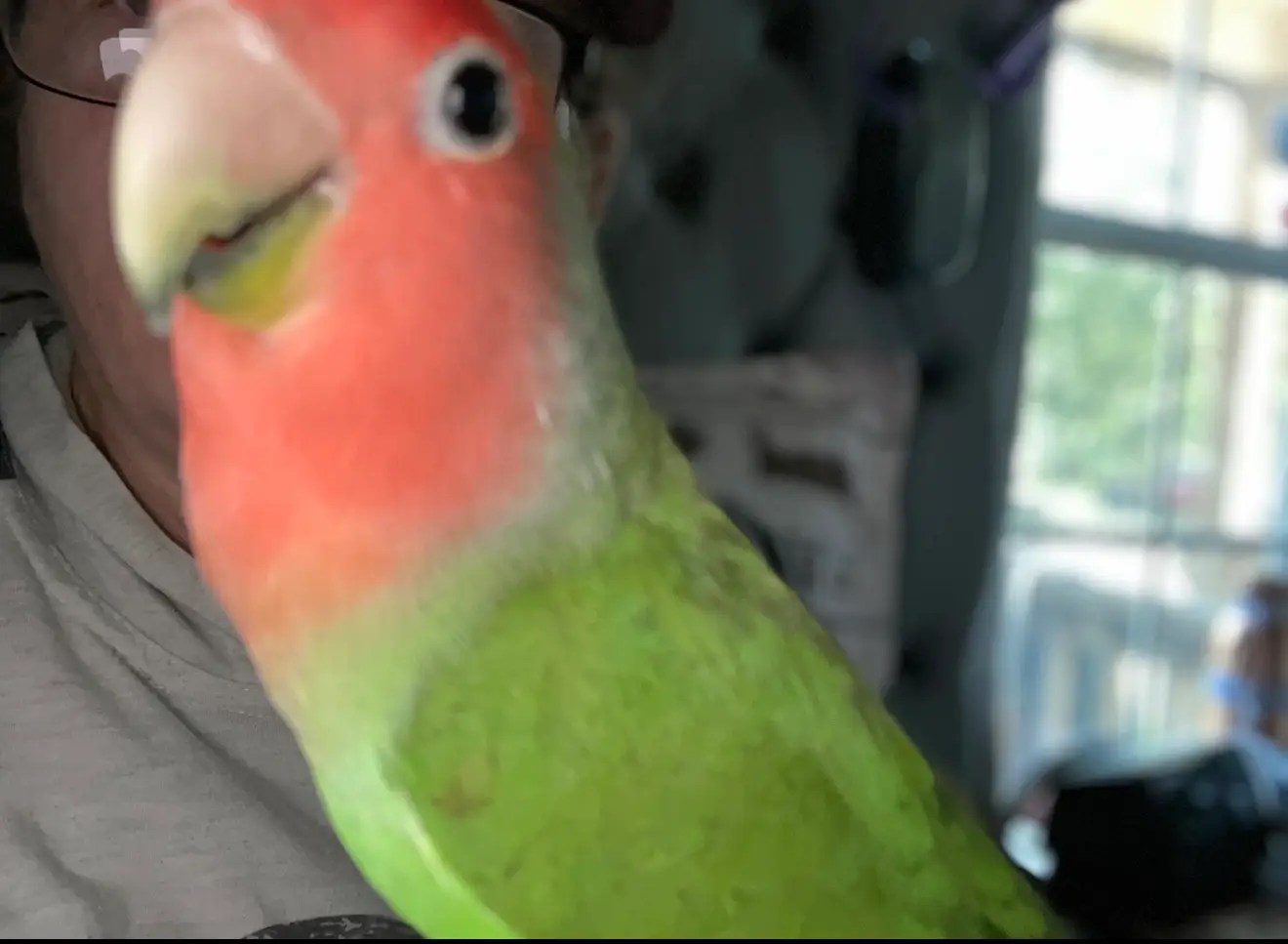 Vicious Memorial - Beautiful Boy