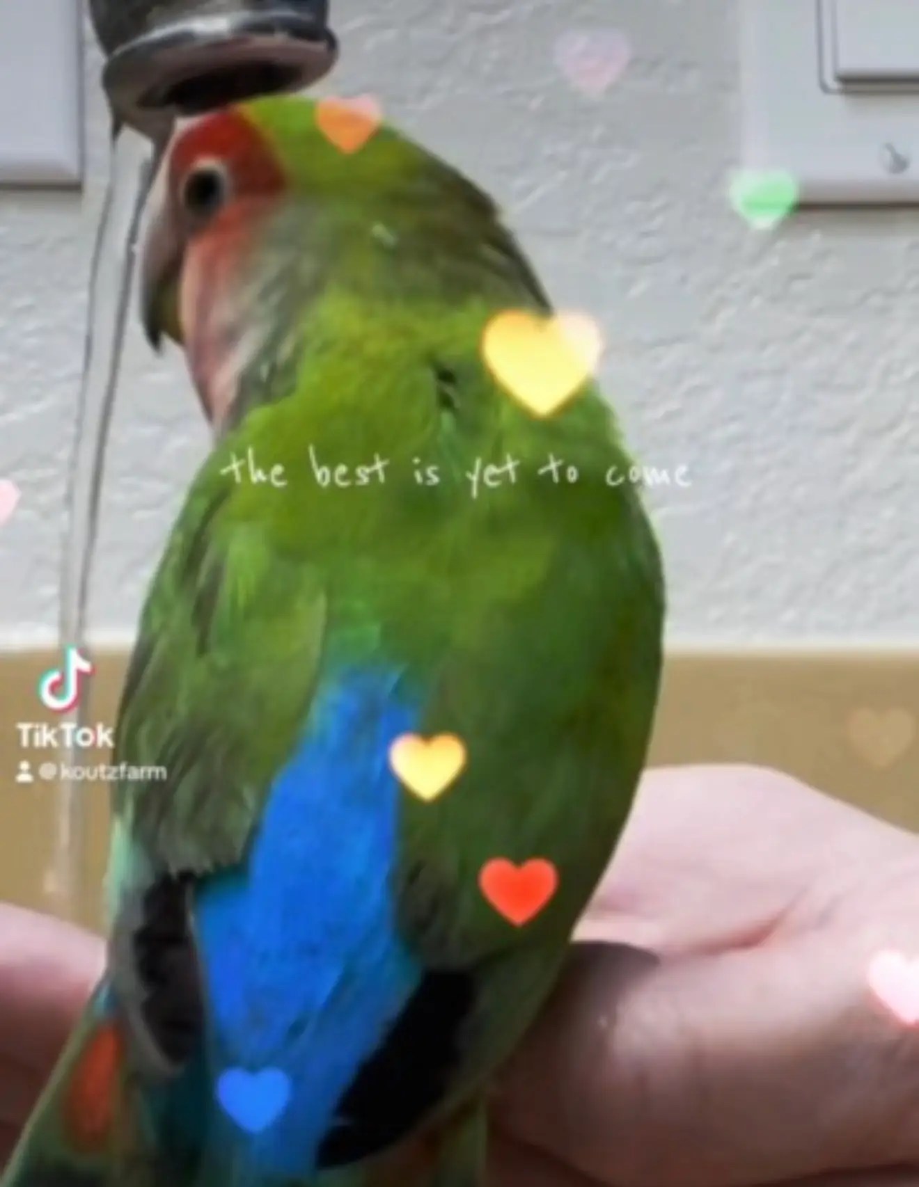 Vicious Memorial - Beautiful Boy