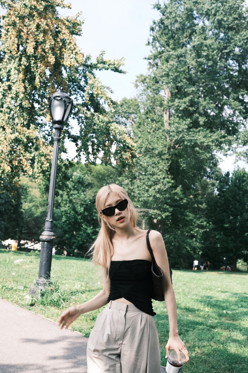 Rose Patch Threads Too - Best Nature Illustrations in 8K