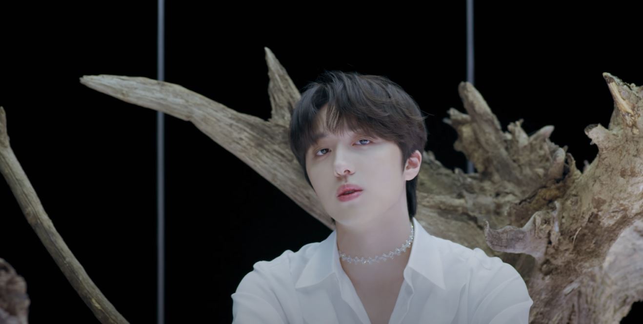 sf9_teardrop.jpg?fit=1200,605&