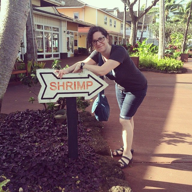 Hawaii Theme Division Meetup