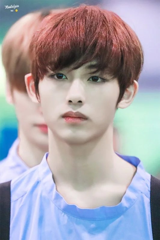 56 rows · dong si cheng, known by the stage name winwin, is a chinese member of sm … Poll: What is your favorite unique idol feature? (Updated!)