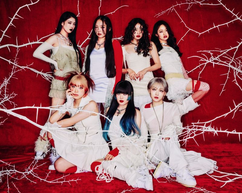 Hana - Premium Nature Background Gallery - HD