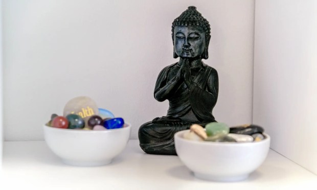Psychotherapie Berlin Adlershof Treptow-Köpenick