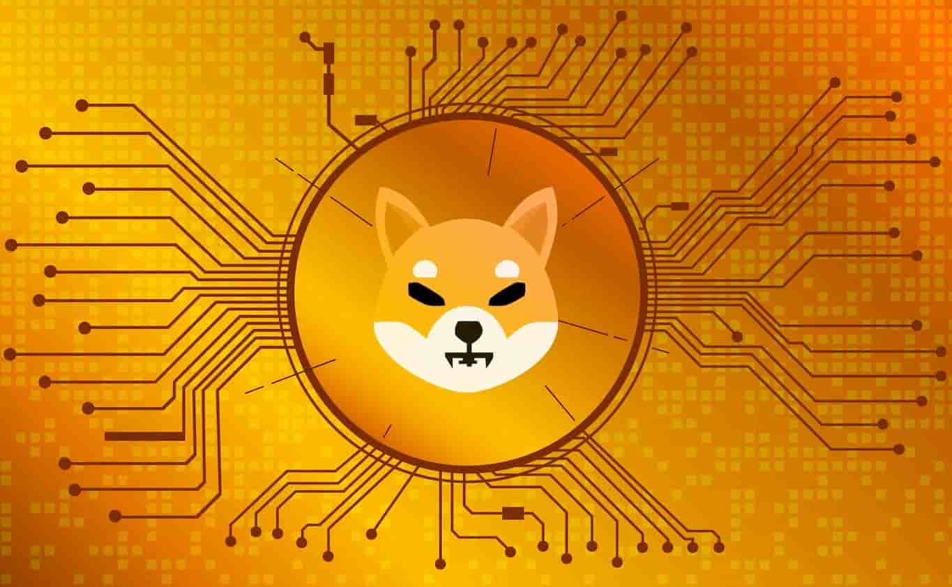 Shiba-Inu-devastatingly-fails-in-DeFi-safety-score-yet-its-DEX-locks-in-1.5B-in-a-day.jpg