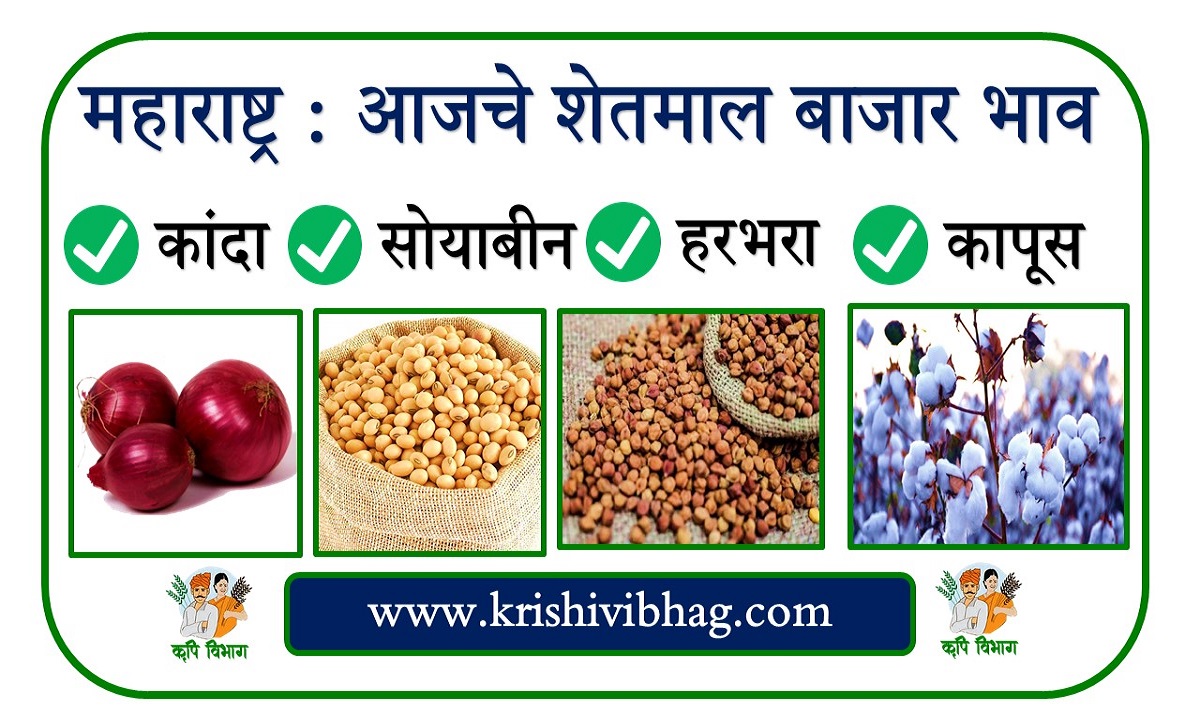 Bajarbhav today krishivibhag new