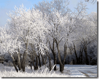 [cold weather]