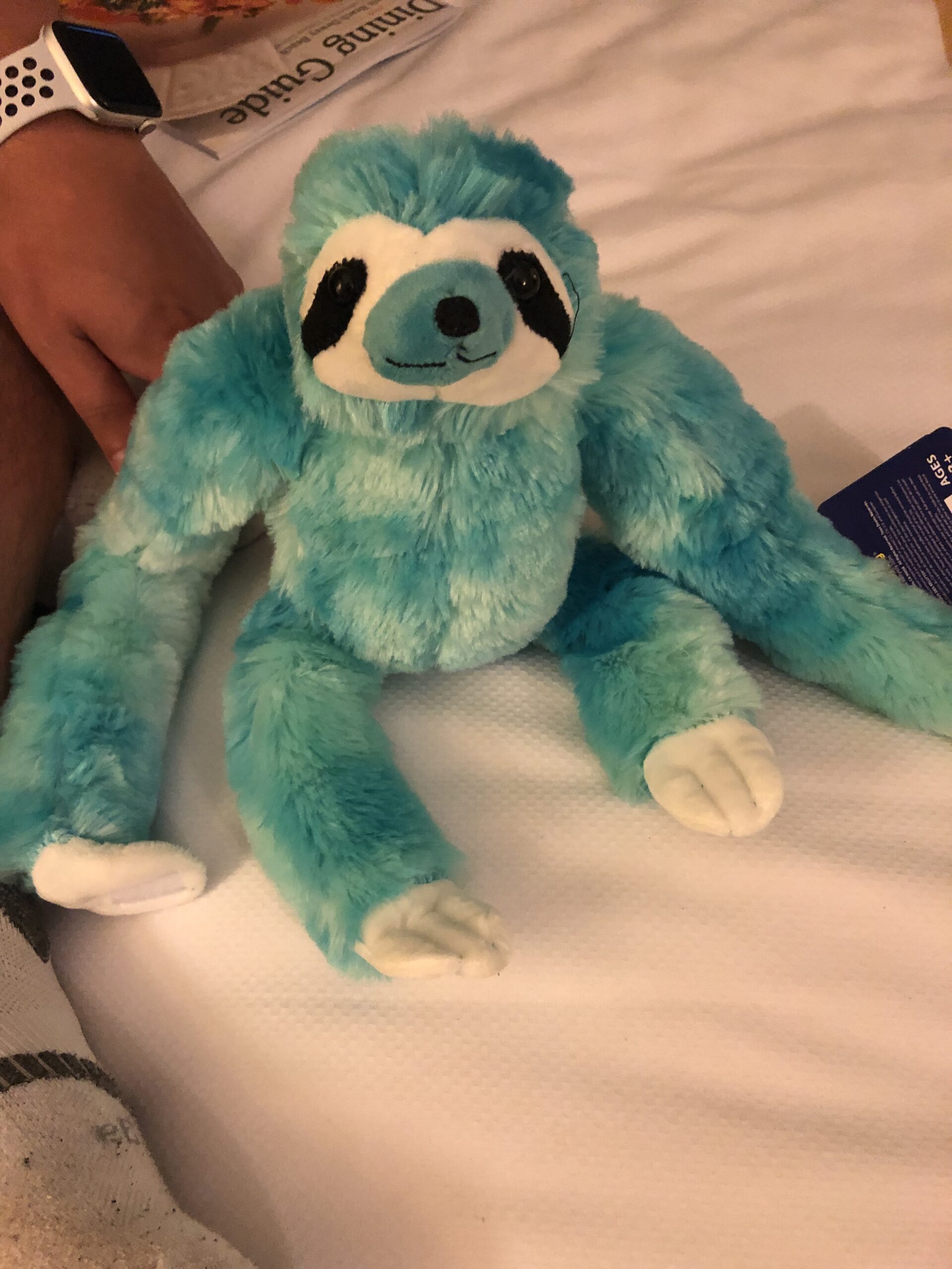 The Story of Floofy, the Unwanted Sloth