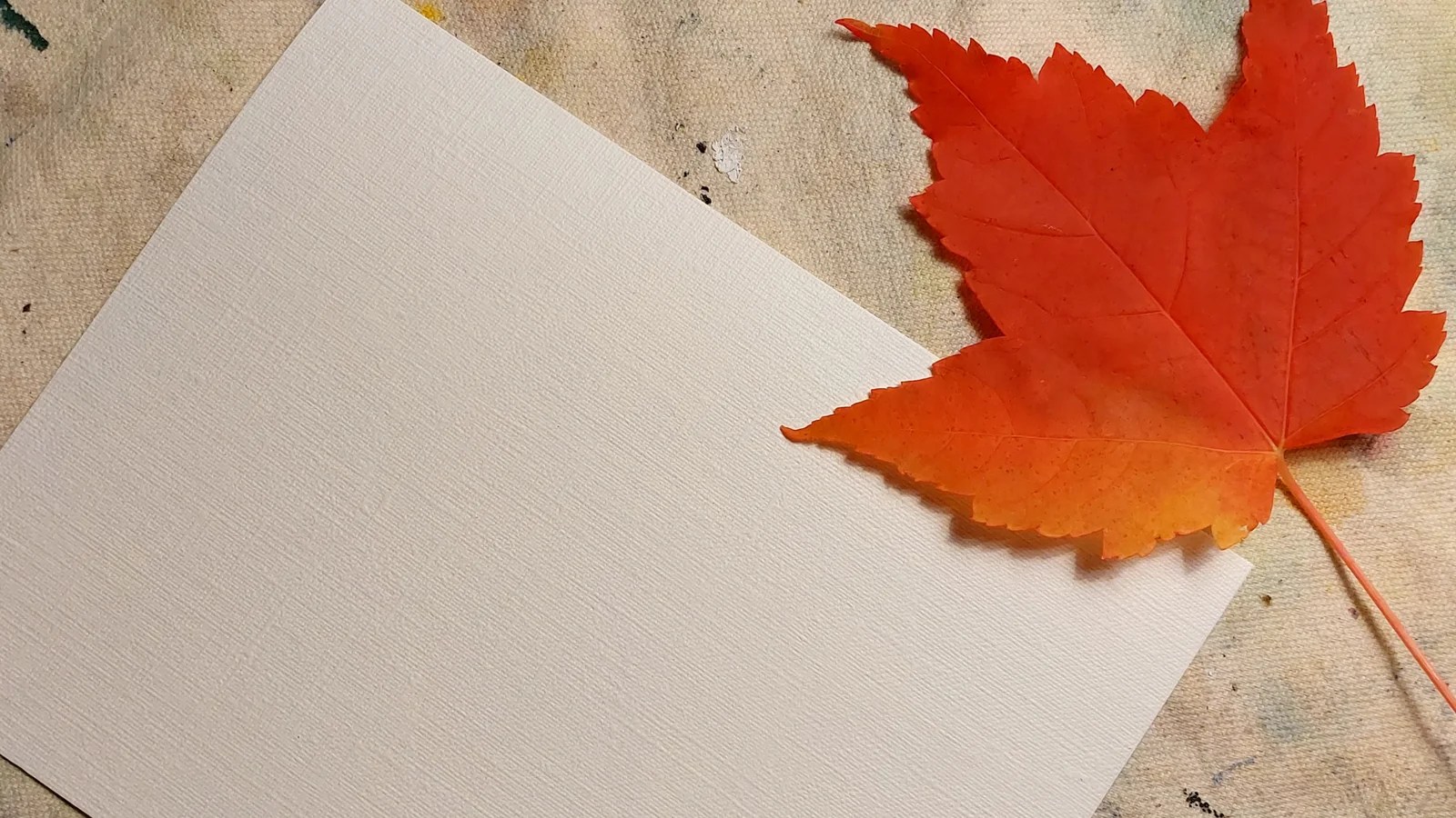 painting-fall-colors-kristen-o-neill-art