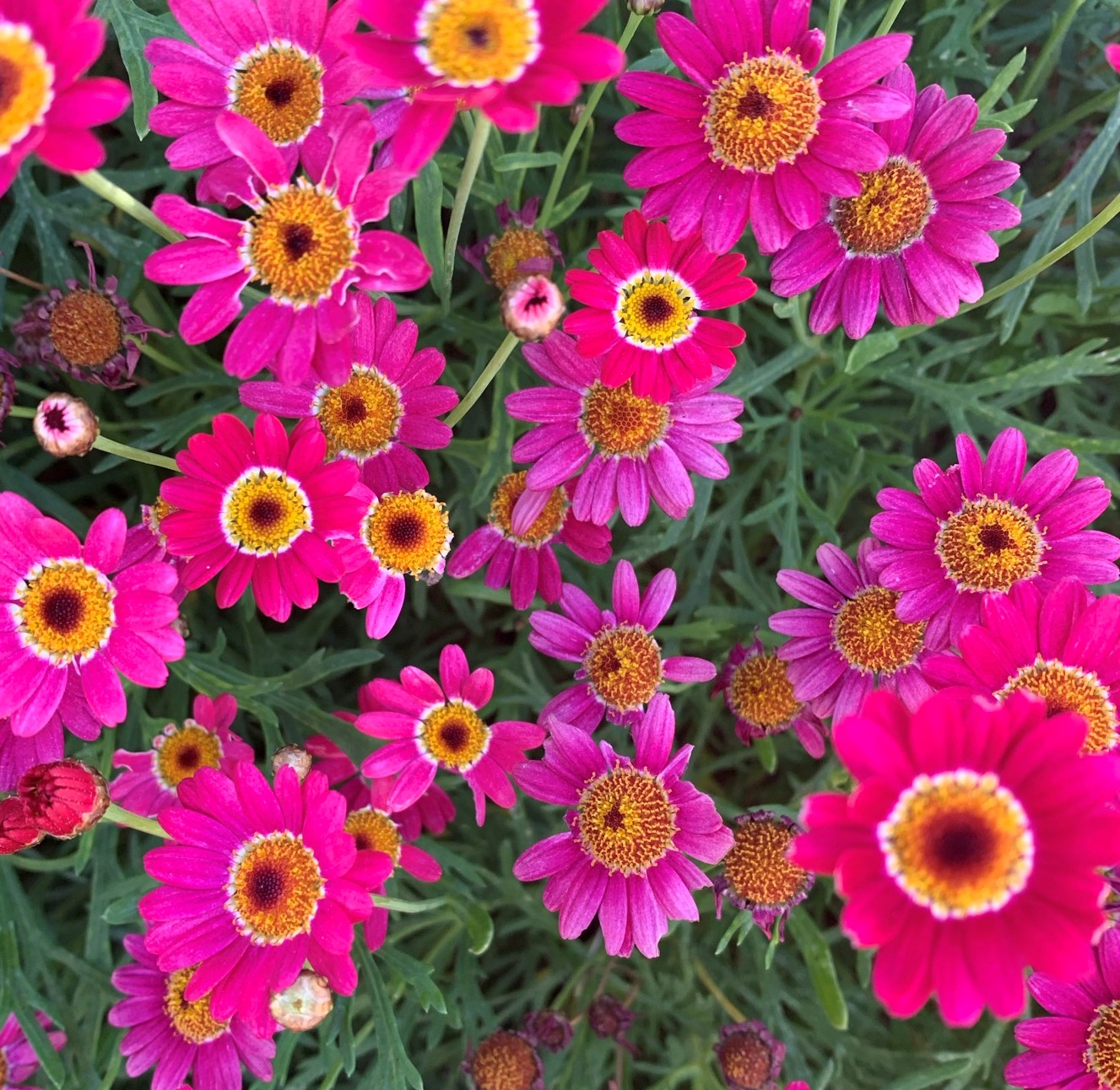 Wednesday Workbench #9 and #10:  Spring Edition