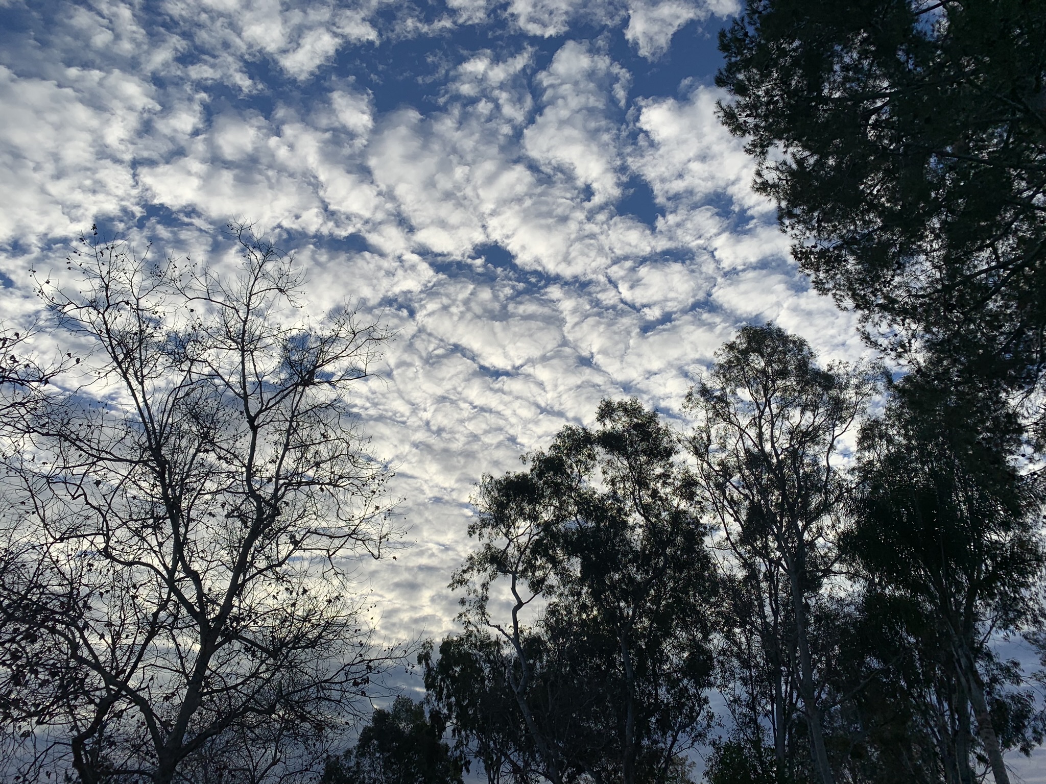 At the Workbench: Journeys, Plans and Inner Growth