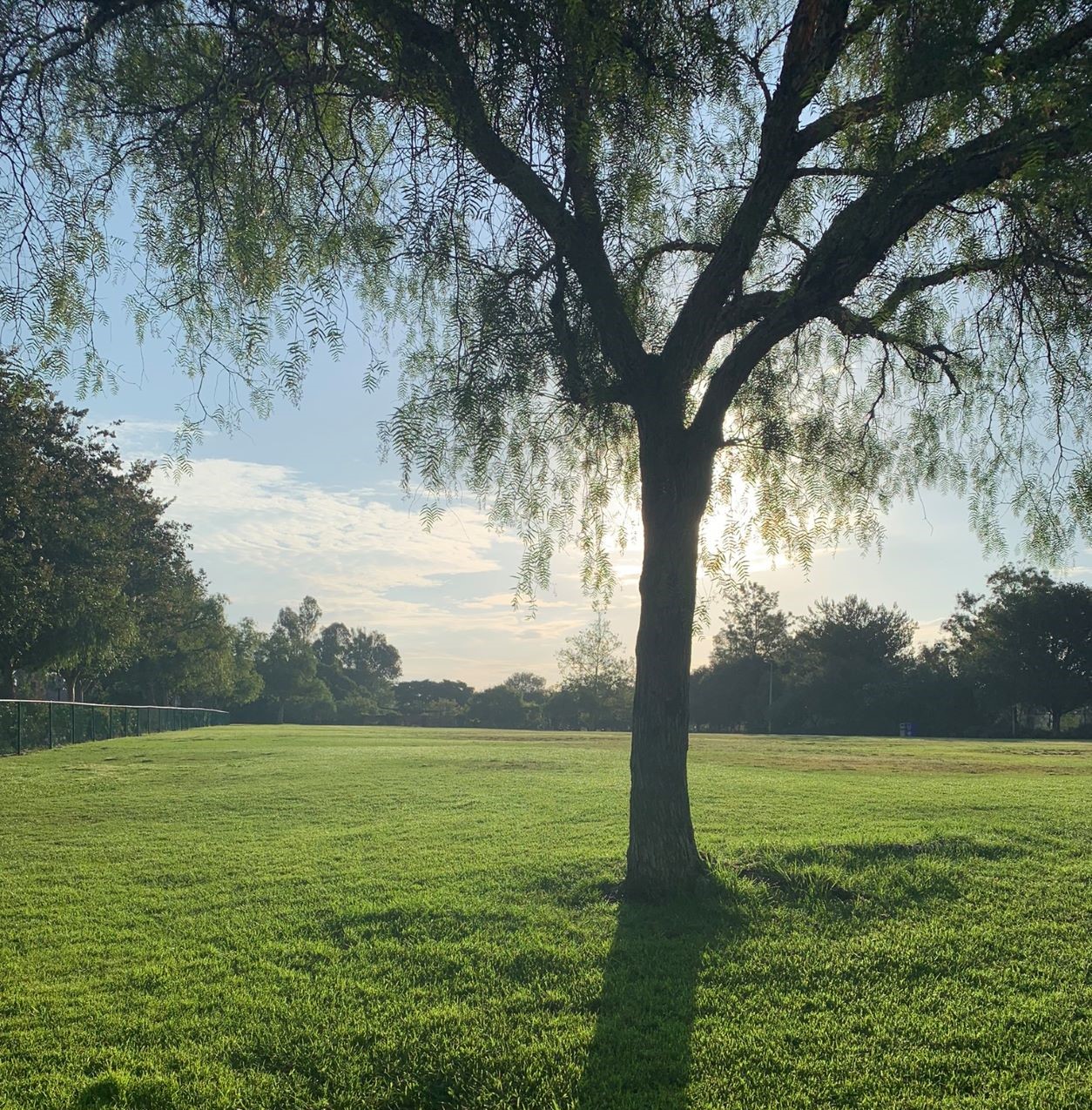 Why is Protecting Time for Deep Work So Difficult?         