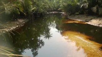 New Oil Spill uncovered in Niger Delta, as YEAC-NIGERIA calls for immediate action
