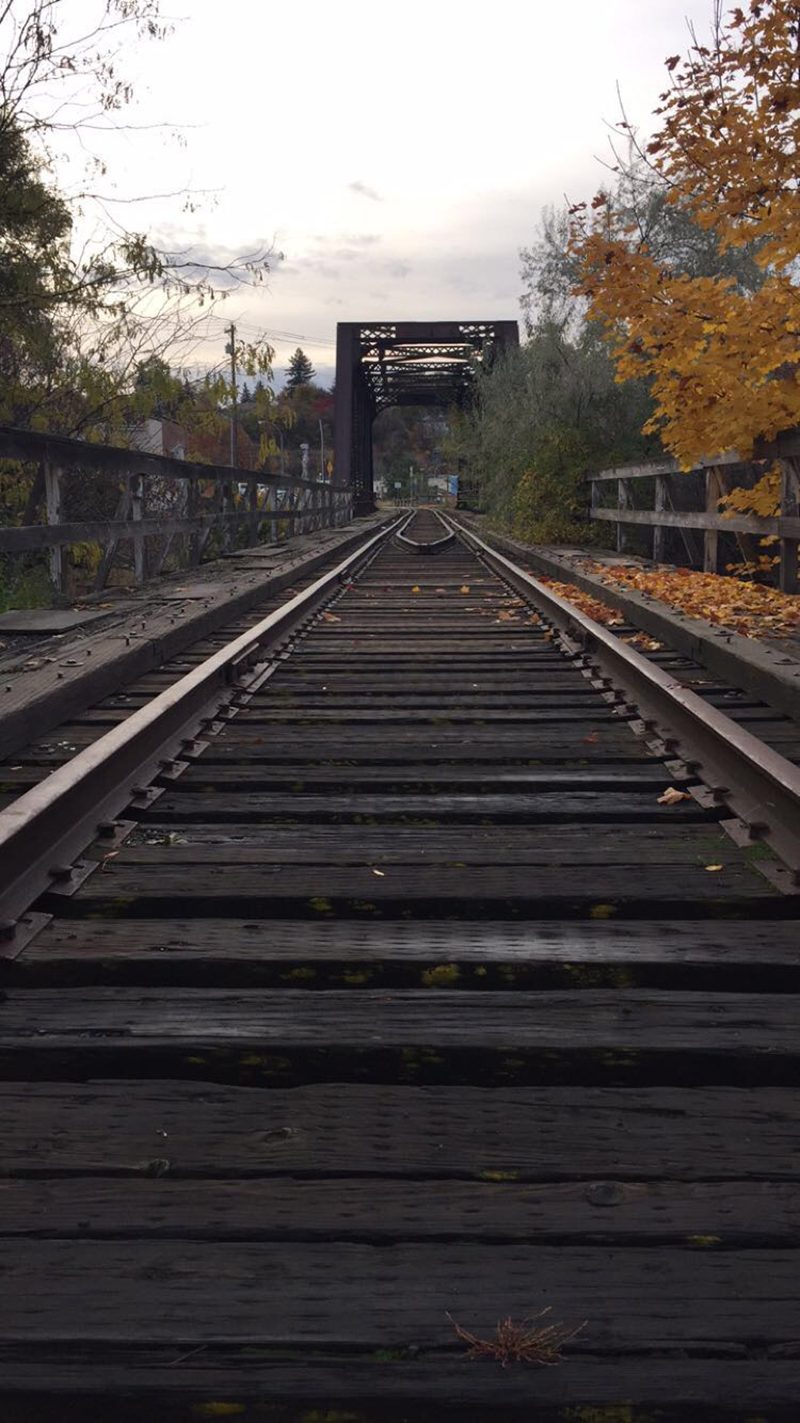 Line: Train Tracks/Railing taken in pullman