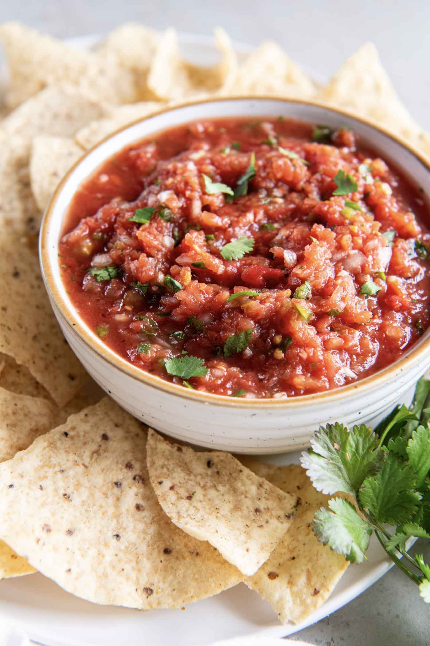 The BEST Homemade Salsa Recipe! This restaurant-style salsa is easy to make with simple ingredients. It has the best fresh flavor and is a perfect appetizer with tortilla chips! Salsa served in a bowl with tortilla chips around.