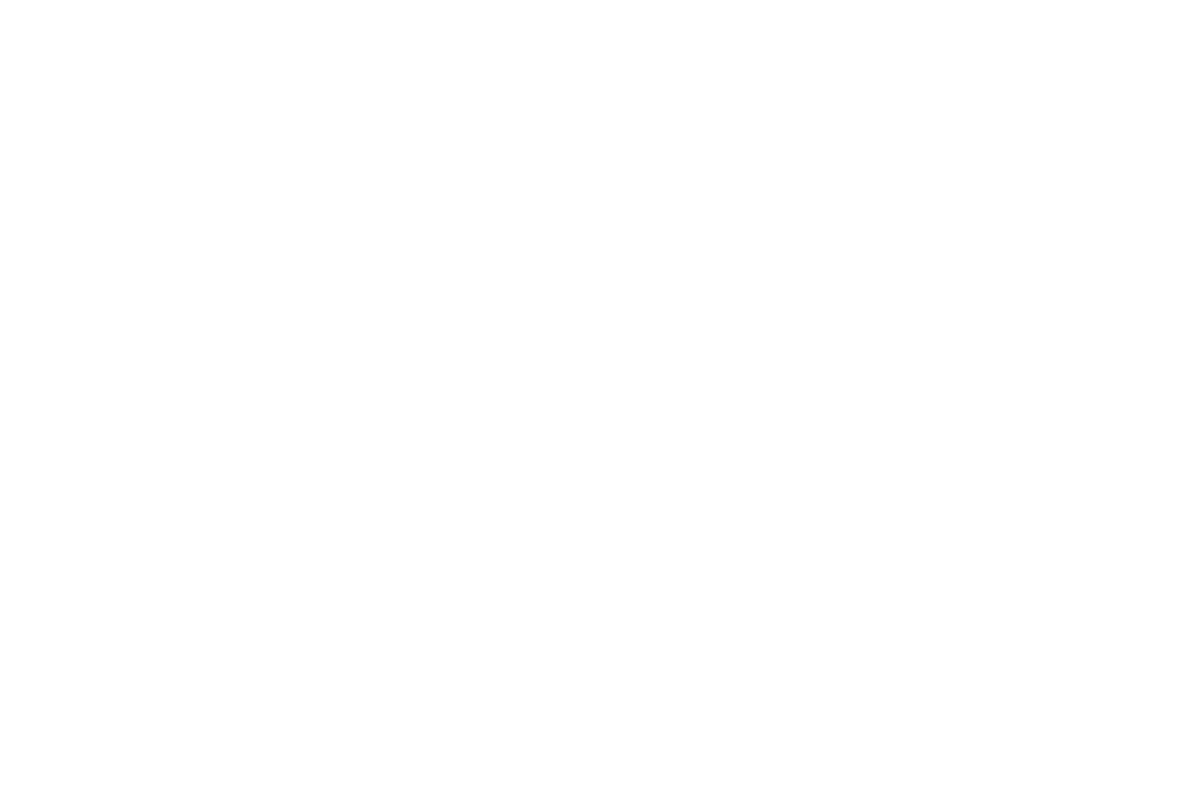 SK Guns