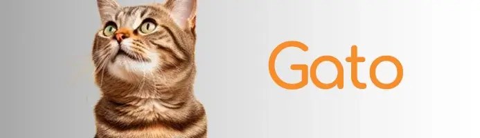Productos para Gatitos