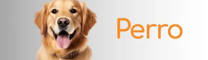 Productos para Perro