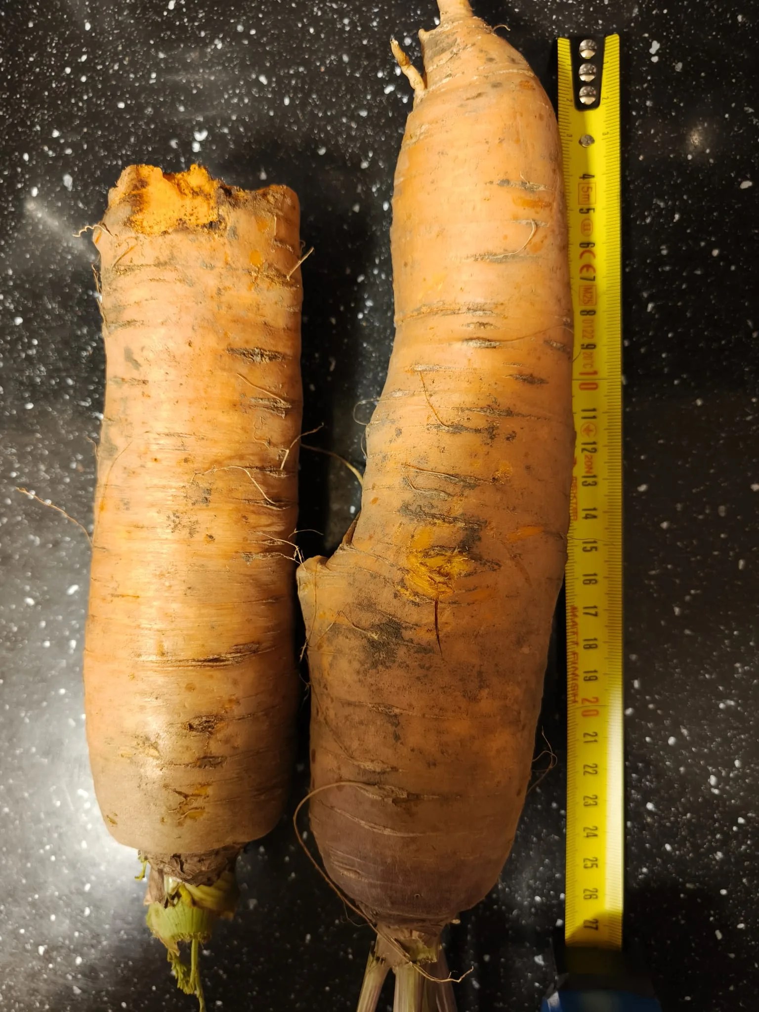 28 cm