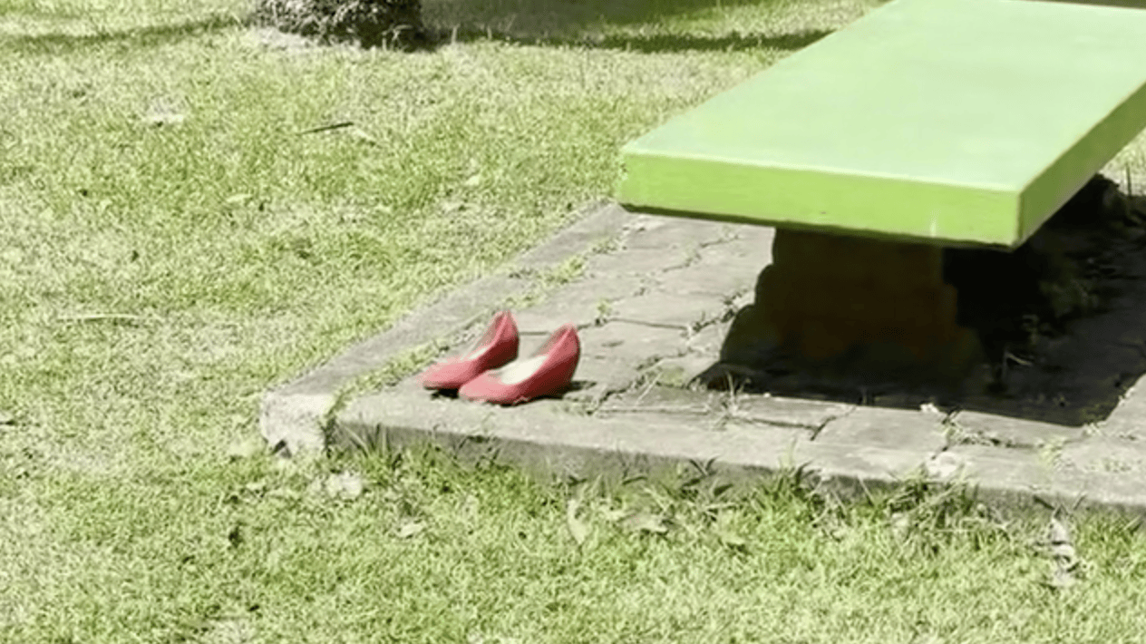 Alice in de Palmentuin
