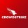 Crowdstrike BSOD