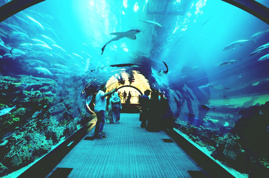Tunel pod akwarium w Dubaju