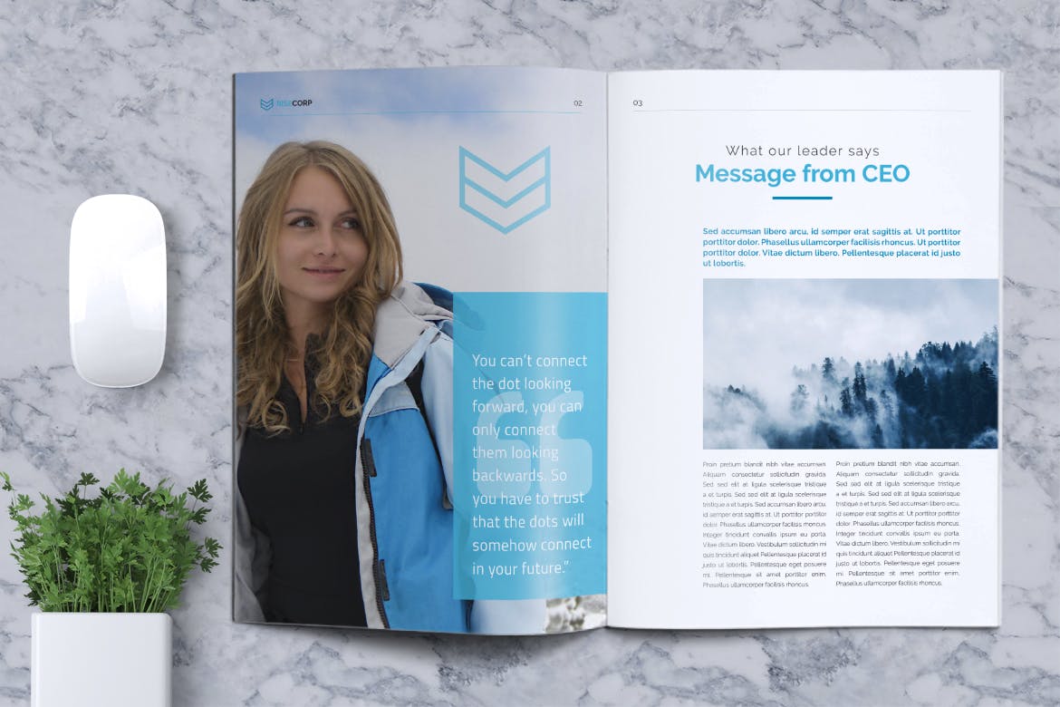 Creative Business Brochure Template Indd Ksioks