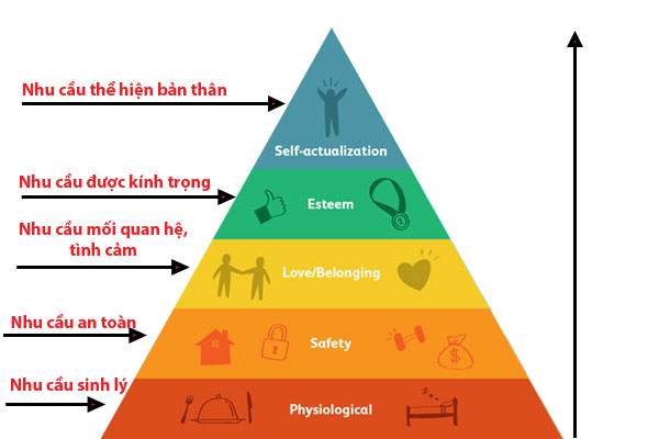 Tháp nhu cầu của maslow