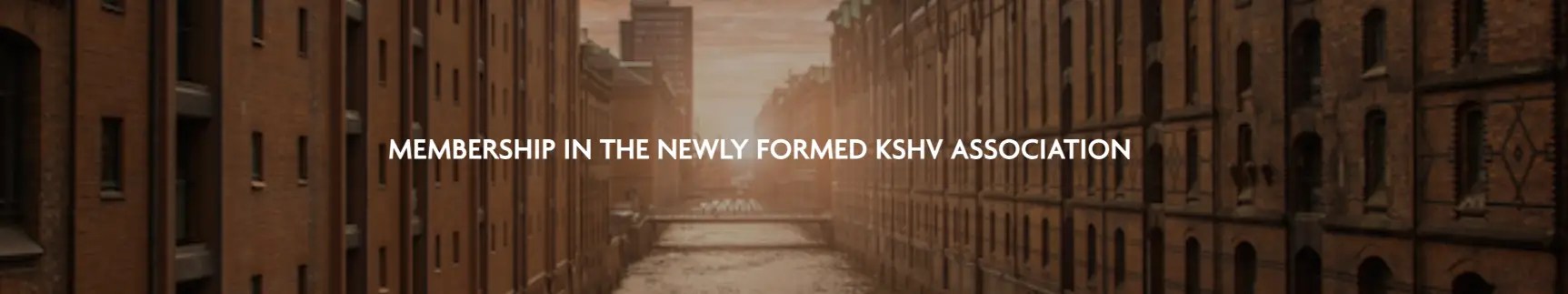 Join the newly formed Kaposi’s Sarcoma Herpesvirus (KSHV) and Related Agents Association, Inc.